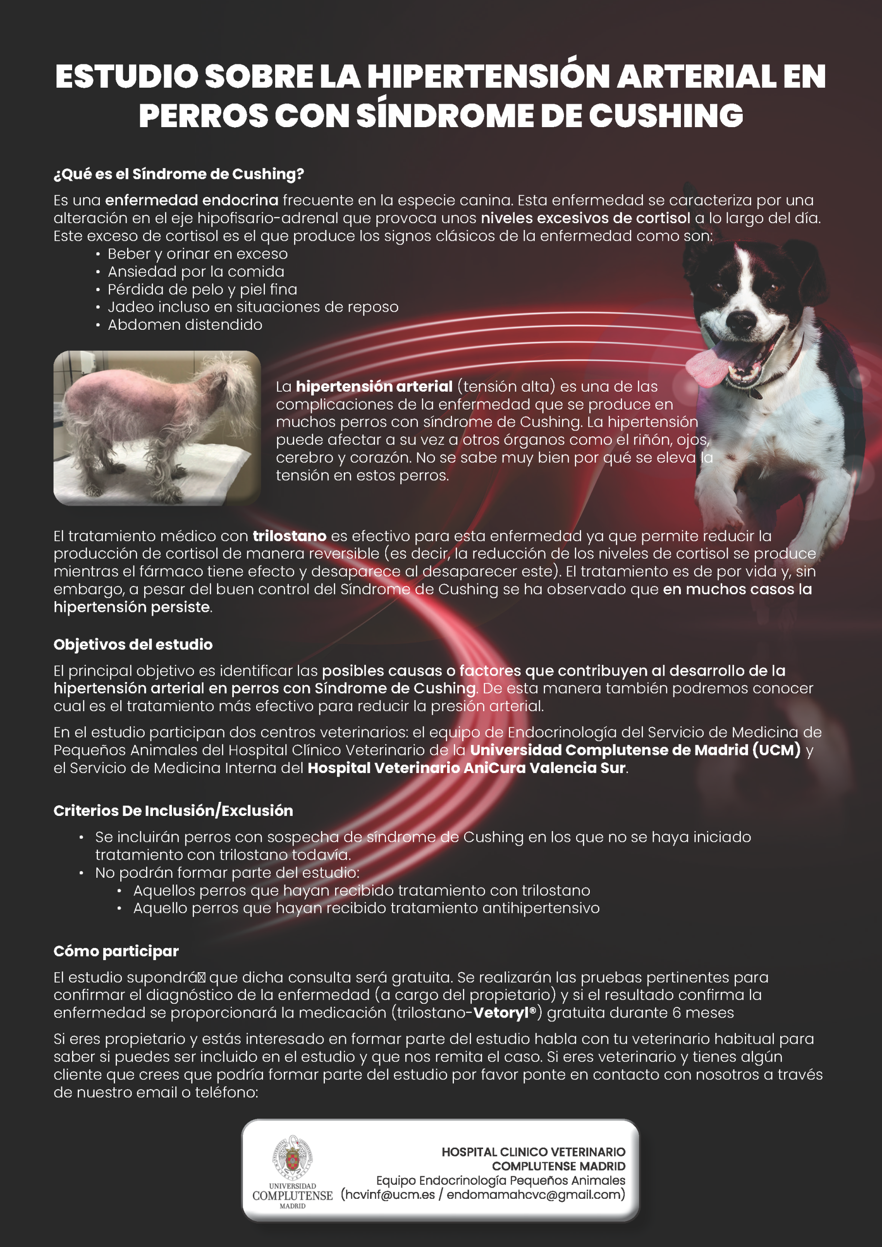 sindrome de cushing en perros Pruebas diagnósticas y criterios para confirmar la enfermedad