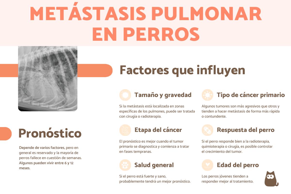 ¿Cuál es la esperanza de vida promedio de un perro diagnosticado con adenocarcinoma?