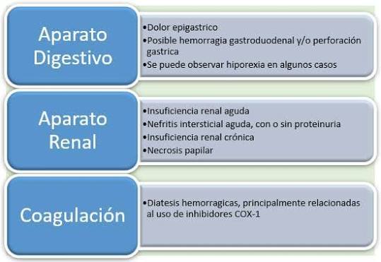 aines en perros Riesgos, contraindicaciones y señales de alarma