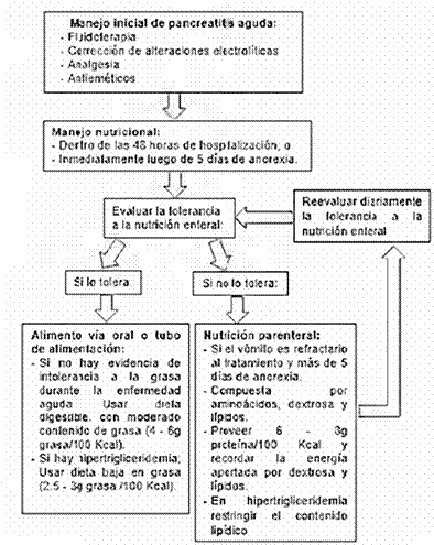 Amilasa alta en perros: causas, síntomas y tratamiento 1 sag image 6944abf3ac51e1