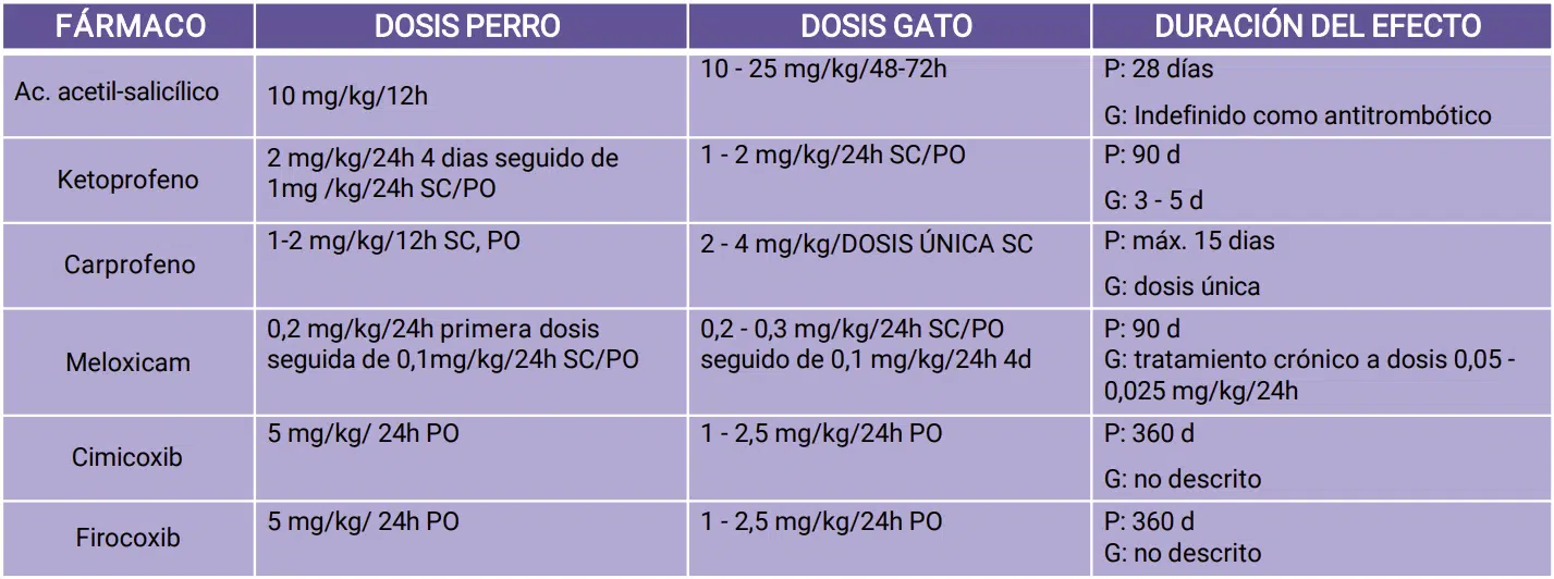 aines en perros