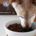 alimentacion para perros mayores 25581 1200