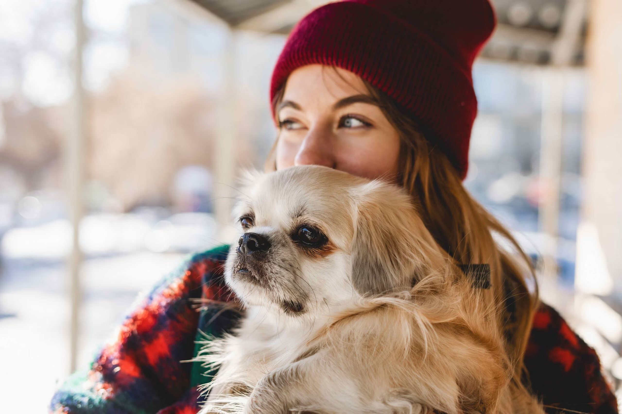 mujer sosteniendo a un perro spaniel tibetano de color crema