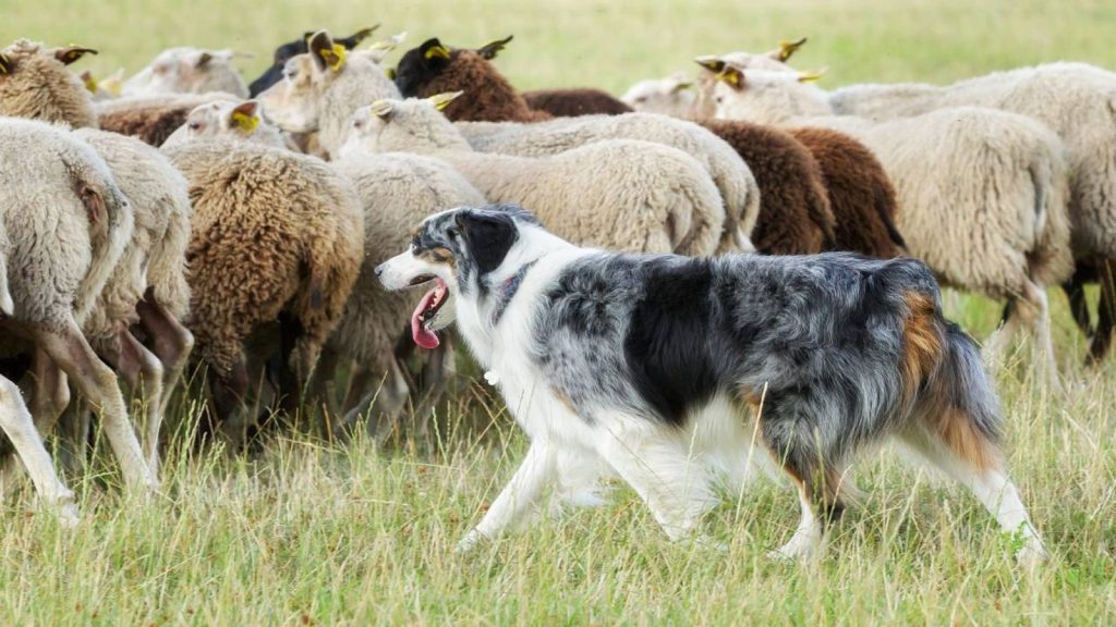 fdede81d 032c 41ba af4d 3db9270c4abc source aspect ratio 1600w 0