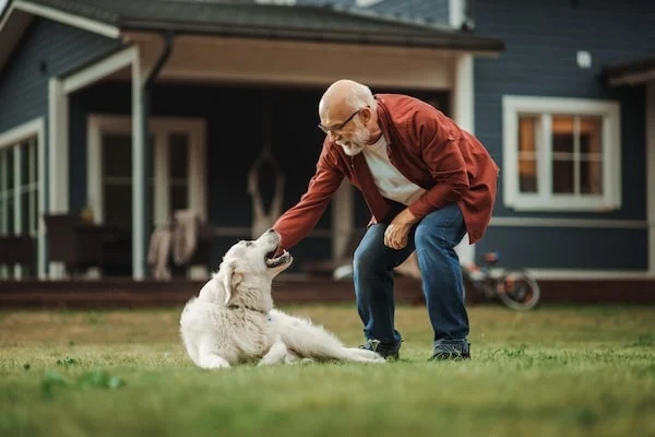 Una persona mayor se inclina para acariciar un golden retriever