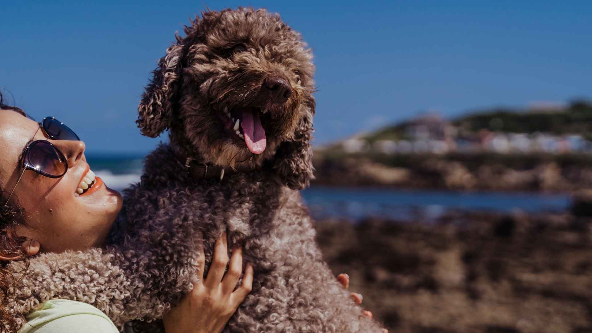 perro de agua